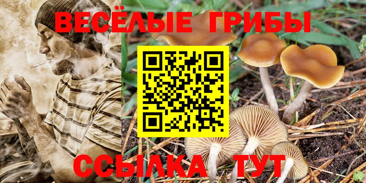 Галлюциногенные грибы прущие грибы  Псилоцибиновые грибы GOLDEN TEACHER  Вход с VPN  Алексеевка 